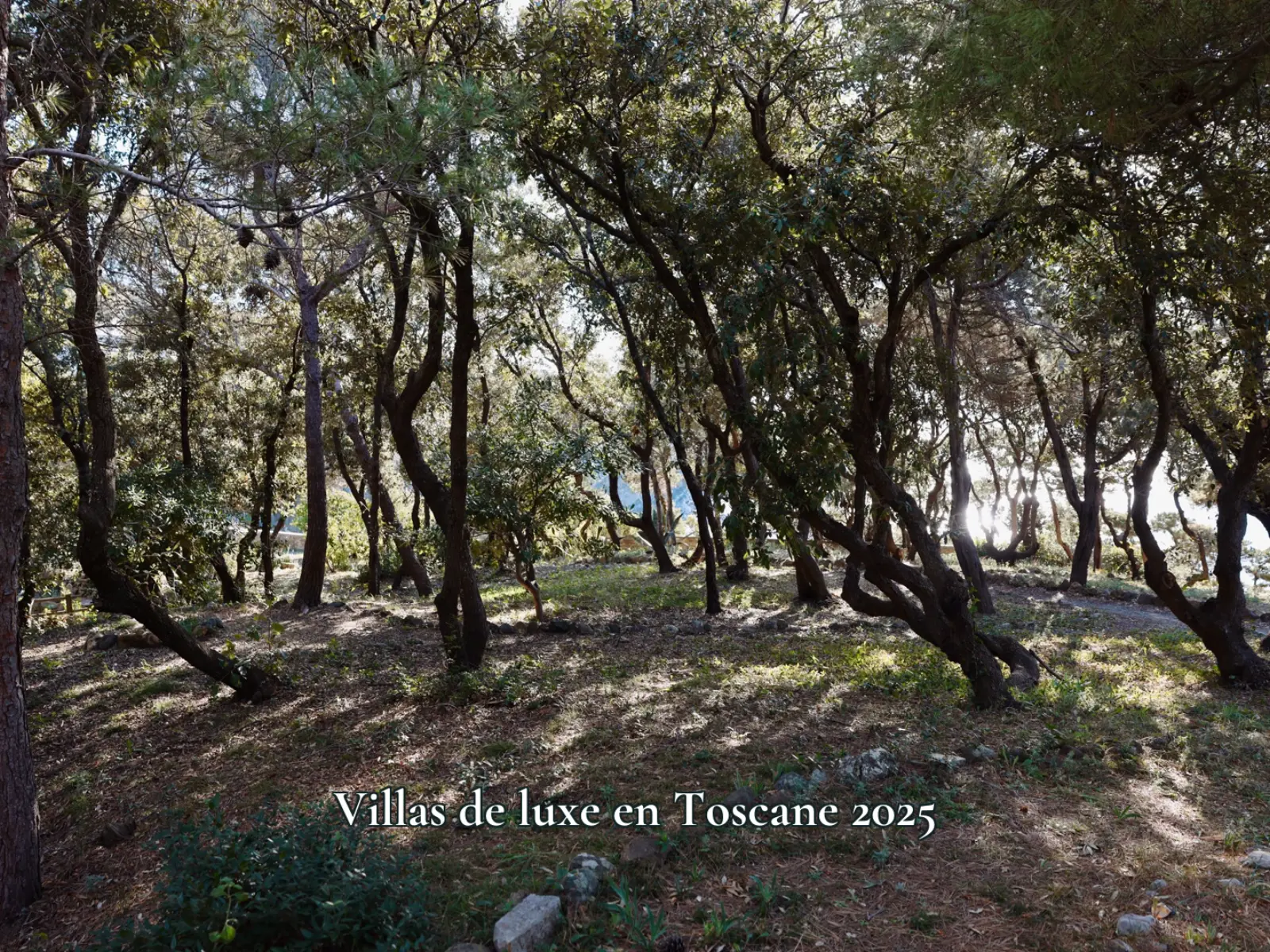 Villas de luxe en Toscane 2025