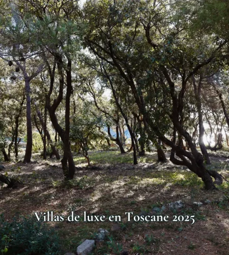 Villas de luxe en Toscane 2025 rvlio5tphzp824c6k5lprb51oyw4rd1tu5a6o64xe0